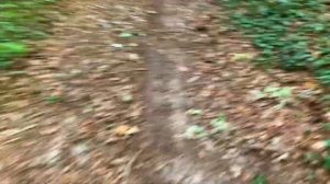 Звук бега по грунтовой дороге слушать