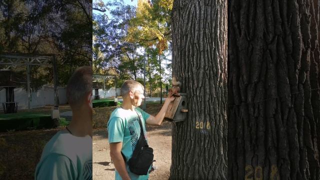 lv_0_20231005205210.mp4 смотреть онлайн