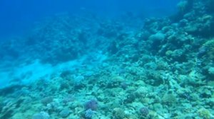 С аквалангом