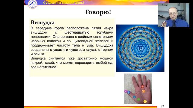 Владимир Заворотный.Нет Артрозу и Остеохондрозу! 20.01.17. смотреть онлайн