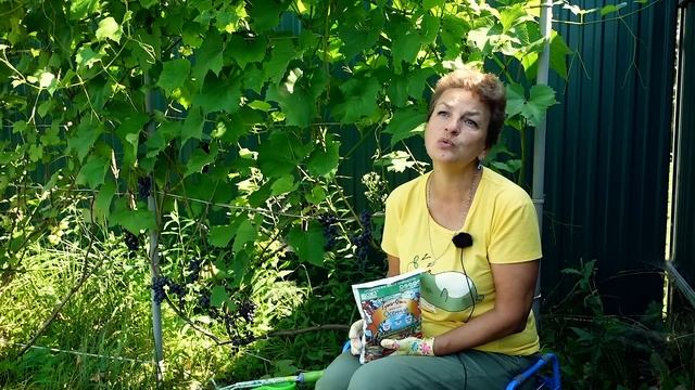 Обязательно внесите эти подкормки - фосфор и калий - прямо сейчас