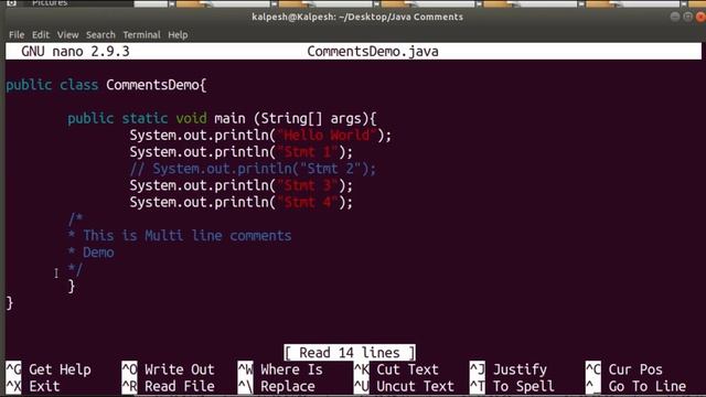 Java Comments, Single Line Comment, Multi Line Comments, Java documentation Comment