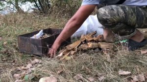 Рыбалка с ночёвкой. Наловили кучу рыбы. Готовка на костре. Рыбалка на Кубани. Рыбалка в августе.