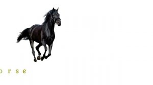 Domestic Animals Vocabulary ll 25 Domestic Animals Name In English With Pictures ll Domestic Animal