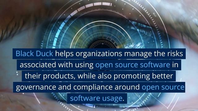 Managing and Securing Open Source Software with Black Duck смотреть онлайн