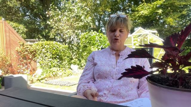 Вопрос-ответ,предприниматель,начальник,работа с клиентами?мои советы и пожелания и подводные камни смотреть онлайн