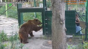 "Не хочу!", 2-я серия. Мансур опять хулиганит, играя с Ладой в переталкивание шибера.