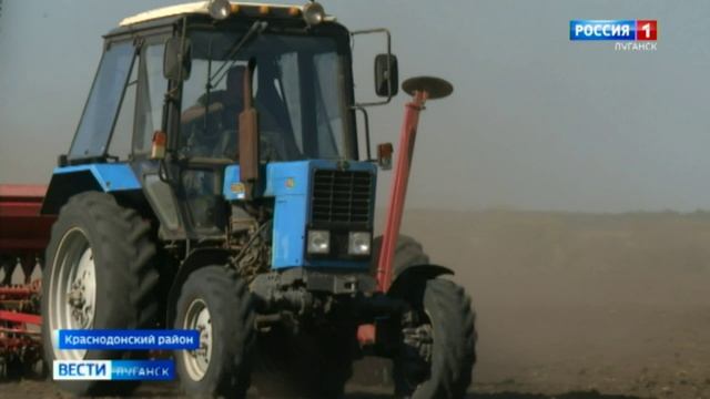 В Республике начались озимные посевы пшеницы