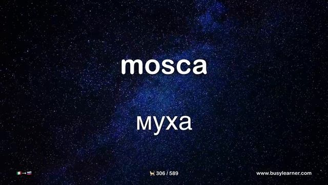 Самые важные итальянские слова и фразы по темам для начинающих. Учим итальянский язык на автопилоте
