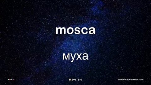 Самые важные итальянские слова и фразы по темам для начинающих. Учим итальянский язык на автопилоте