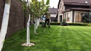 ГАЗОН без сорняков