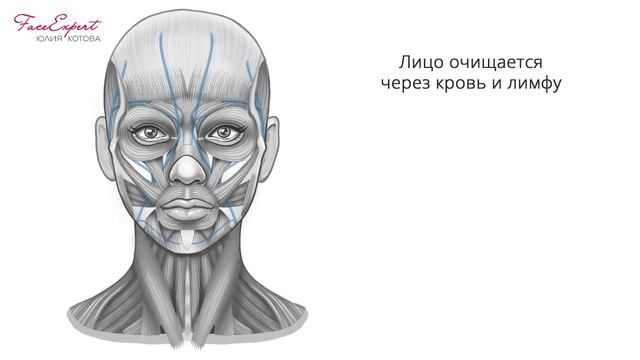 Как убрать носогубные складки? Все нюансы здесь!