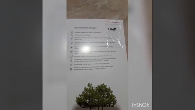 GREENWAY сажает сосны смотреть онлайн