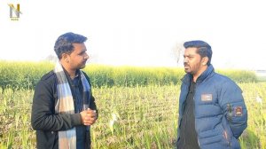 New Flower Farming in Pakistan| Gladiolus flower| 3 Month Business  |  Earn Money method|