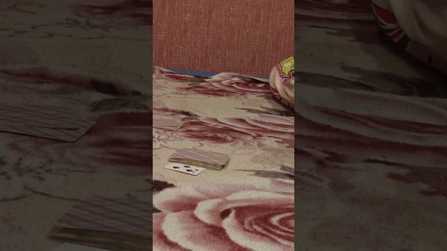 учу играть в карты-дурака