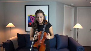 What are the parts of the violin?