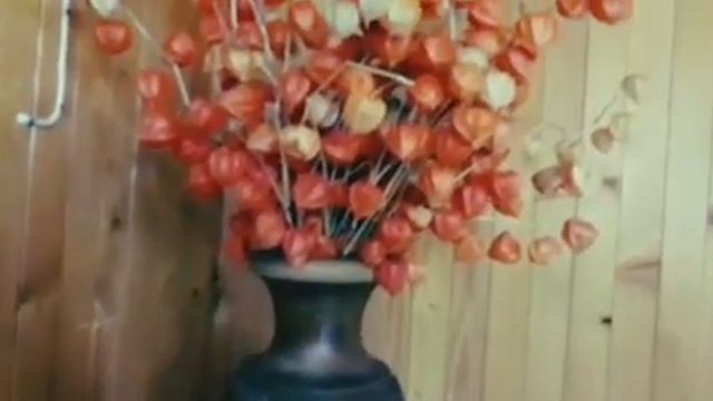 #дача #физалис / Физалис в зимнем букете. Декорируем интерьер загородного дома. Садовый букет II смотреть онлайн