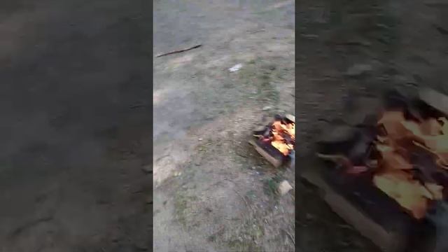 первое_видео