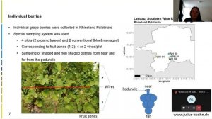 210317 Developing a handheld NIR sensor for the detection of ripening in grapevine