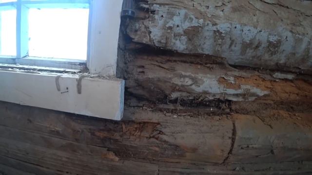 ЗАЧЕМ Я ВООБЩЕ ЗАТЕЯЛ ЭТОТ РЕМОНТ, ЭТО НЕ ДОМ А ГНИЛУШКА? смотреть онлайн