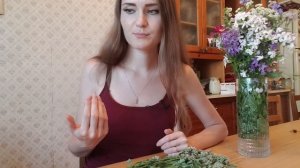Как сушить мелиссу. Как сохранить МЕЛИССУ на зиму