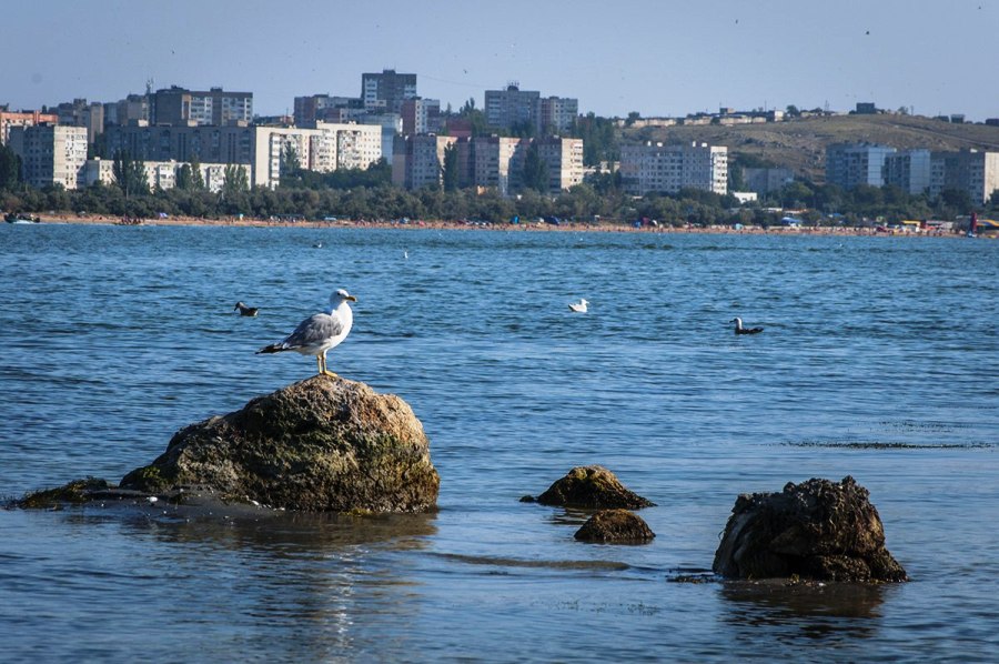 Город щелкино крым фото