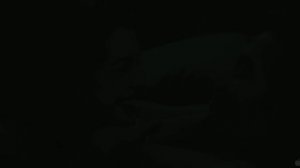 Любовь и другие лекарства русскоязычный трейлер HD