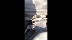 Площадка номера двигателя на FORD EDGE (1G)