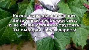 ❤КОГДА ТРУДНО, ПОСЛУШАЙ! Стих до слез. Христианский стих.