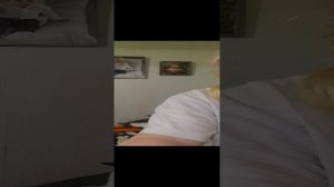 VID_20231010_203136.mp4
