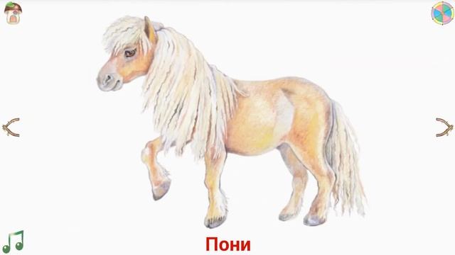 Учим Зверят - Жирафы и Лошади смотреть онлайн