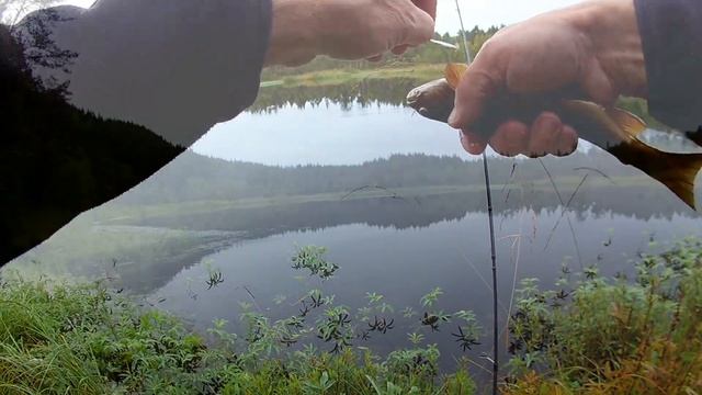 Рыбалка и отдых в Норвегии.2 часть.Озёрная фарель.