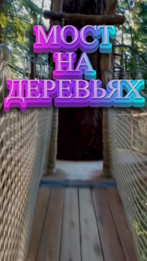 МОСТ НА ДЕРЕВЬЯХ