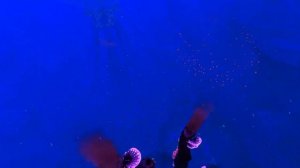 Все БИОМЫ в игре Subnautica: Below Zero