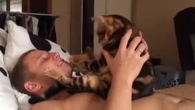 Ваня и Багги-суперкот - великая любовь смотреть онлайн