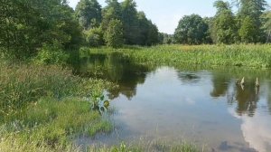 Река Икорец. Воронежская обл. Лискинский р-он. На суше и под водой)