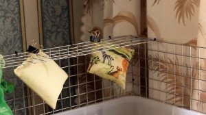 КАК СДЕЛАТЬ ВОЛЬЕР ДЛЯ МОРСКИХ СВИНОК? |  PetMania