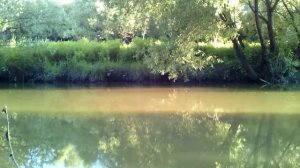 Москва. Ужение рыбы на Яузе.