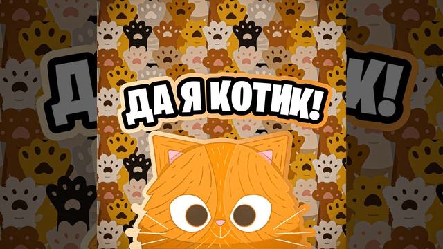 Симбочка котик