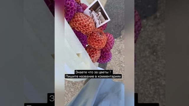 Букет из местных цветов, садовых цветов, упаковка букета, сезонные цветы