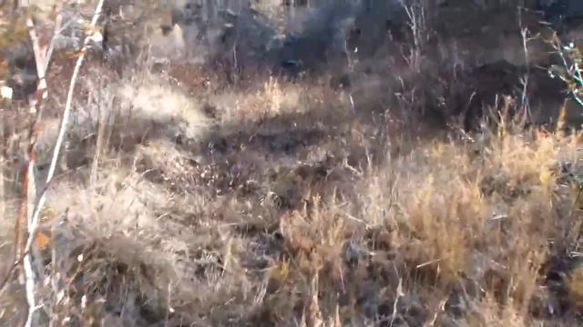 Вдоль реки Сайлюгем к вершине Тапдуайр. смотреть онлайн