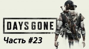 Days Gone #23