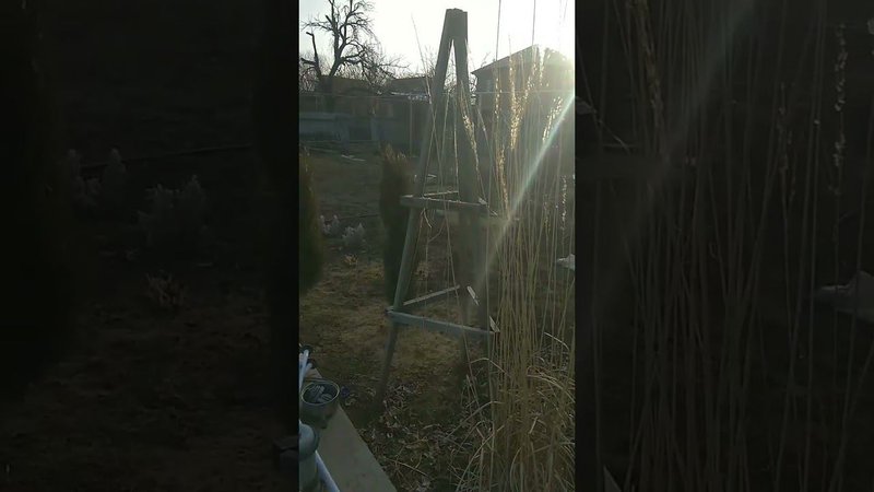ВЕСНА.Привожу в порядок деревянный декор в саду