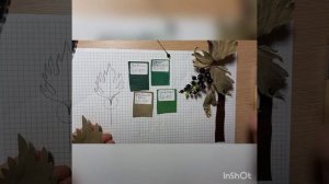 Цветок, брошь смородина.