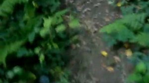 Идём Босиком по грязи в гости к Водяному вместе с Поехавшим гидом