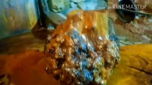 Декоративная ваза из сувеля граба.