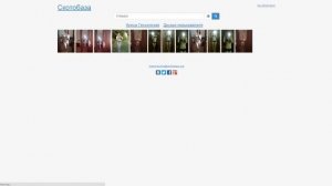 Как смотреть закрытые фотографии в вк