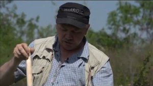 Газоны содержание