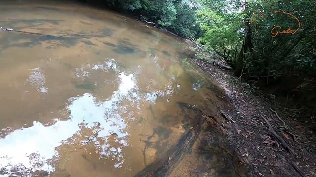 MENOR DOS PERIGOS FOI UMA COBRA MAIS RÁPIDA DO QUE EU! O MAIOR ME MATARIA! O Sufoco Continua. смотреть онлайн