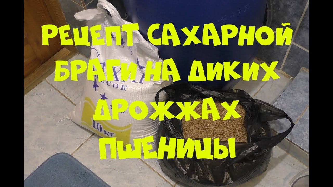 Рецепт сахарной браги на диких дрожжах пшеницы